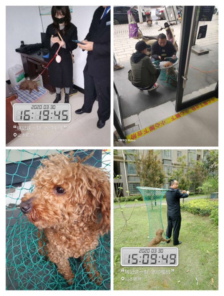 常德市陽光物業(yè)服務有限公司,常德物業(yè)管理,物業(yè)企業(yè),陽光物業(yè)